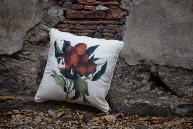 housse de coussin letchis
