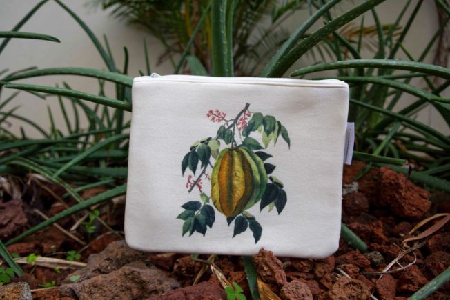 pochette carambole