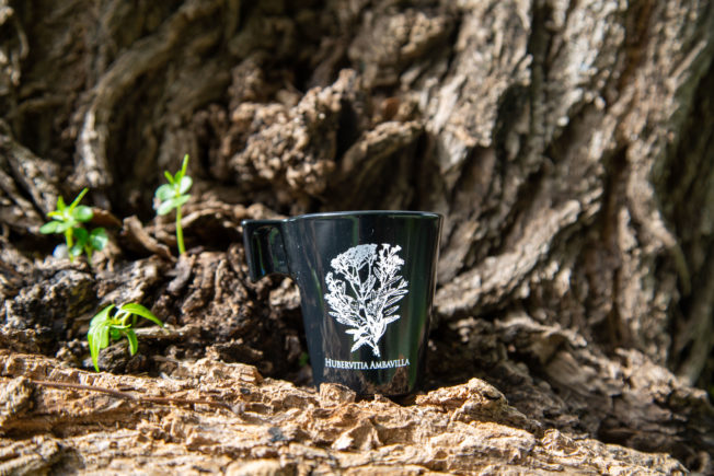 Tasses « Arabica » – Image 8