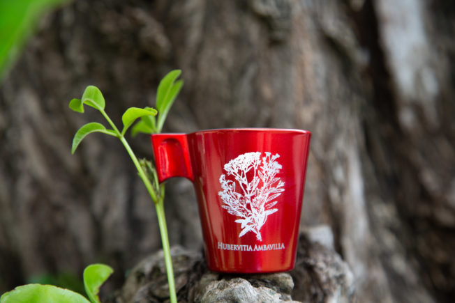 Tasses « Arabica » – Image 6