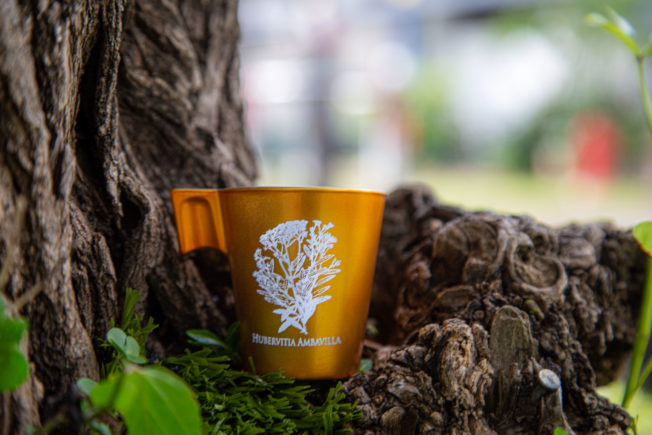 Tasses « Arabica » – Image 4