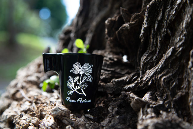 Tasses « Arabica » – Image 3