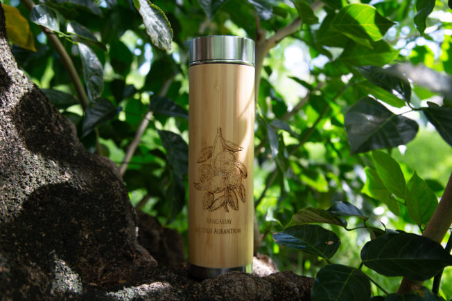 Thermos vernies avec infuseur « Le Verger » – Image 5