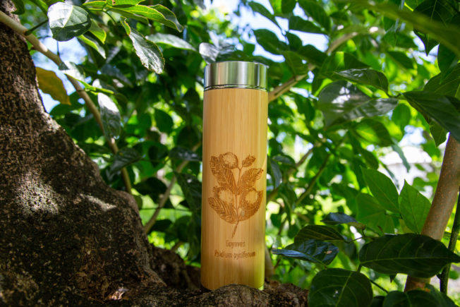 Thermos vernies avec infuseur « Le Verger » – Image 4