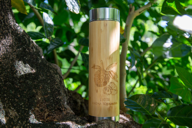 Thermos vernies avec infuseur « Le Verger » – Image 3