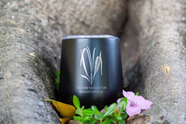 Mug « Naturalia » – Image 6