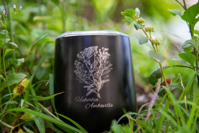 Mug « Naturalia » – Image 5