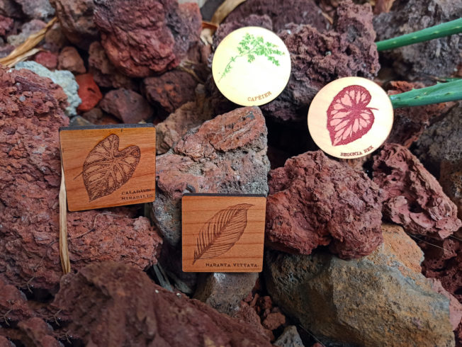 Magnets "Floral"