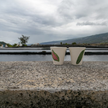 Mug "Alice Aucuit"
