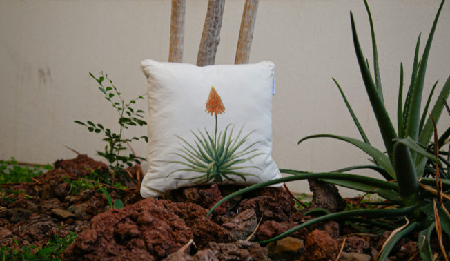 Housse de coussin « Aloès »