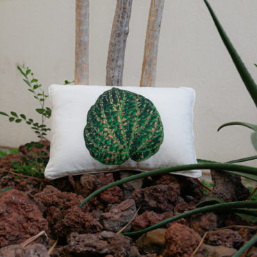Housse de coussin « Cissus »
