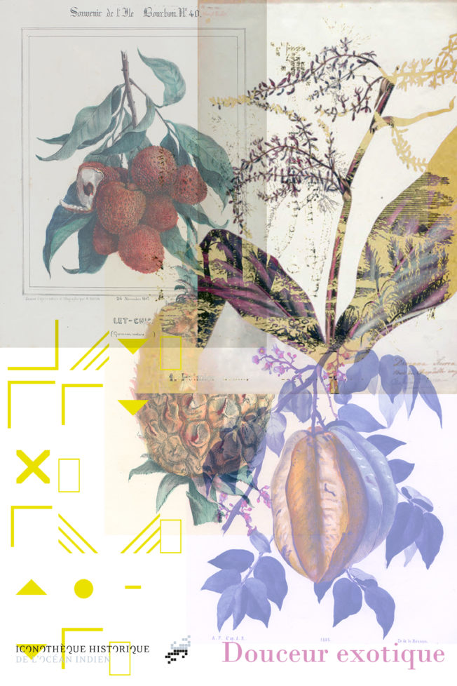 Affiche sous blister « DN MADE - Douceur exotique »
